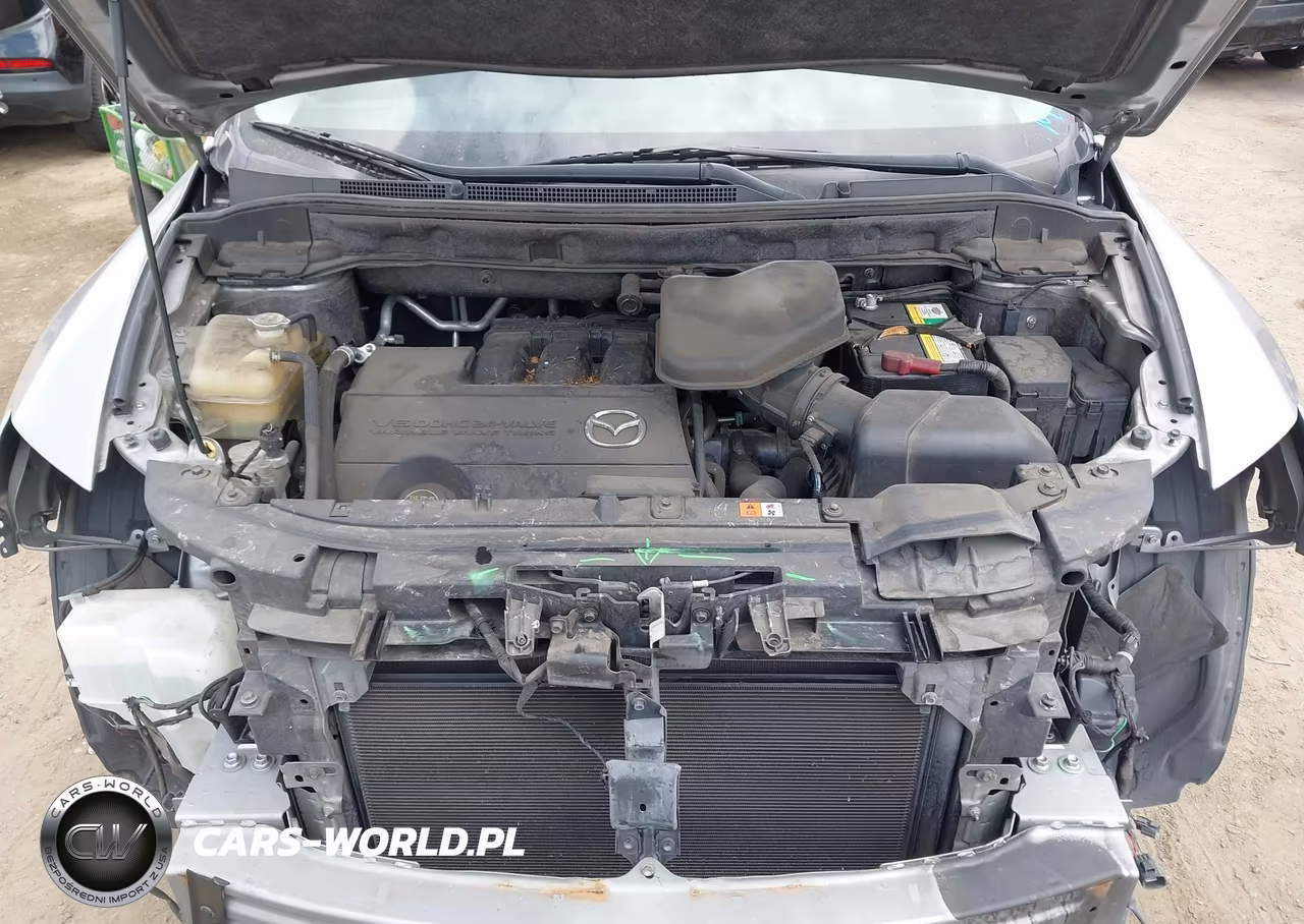 2011 Mazda Cx-9 Grand Touring VIN:JM3TB2DV4B0316679 - 10