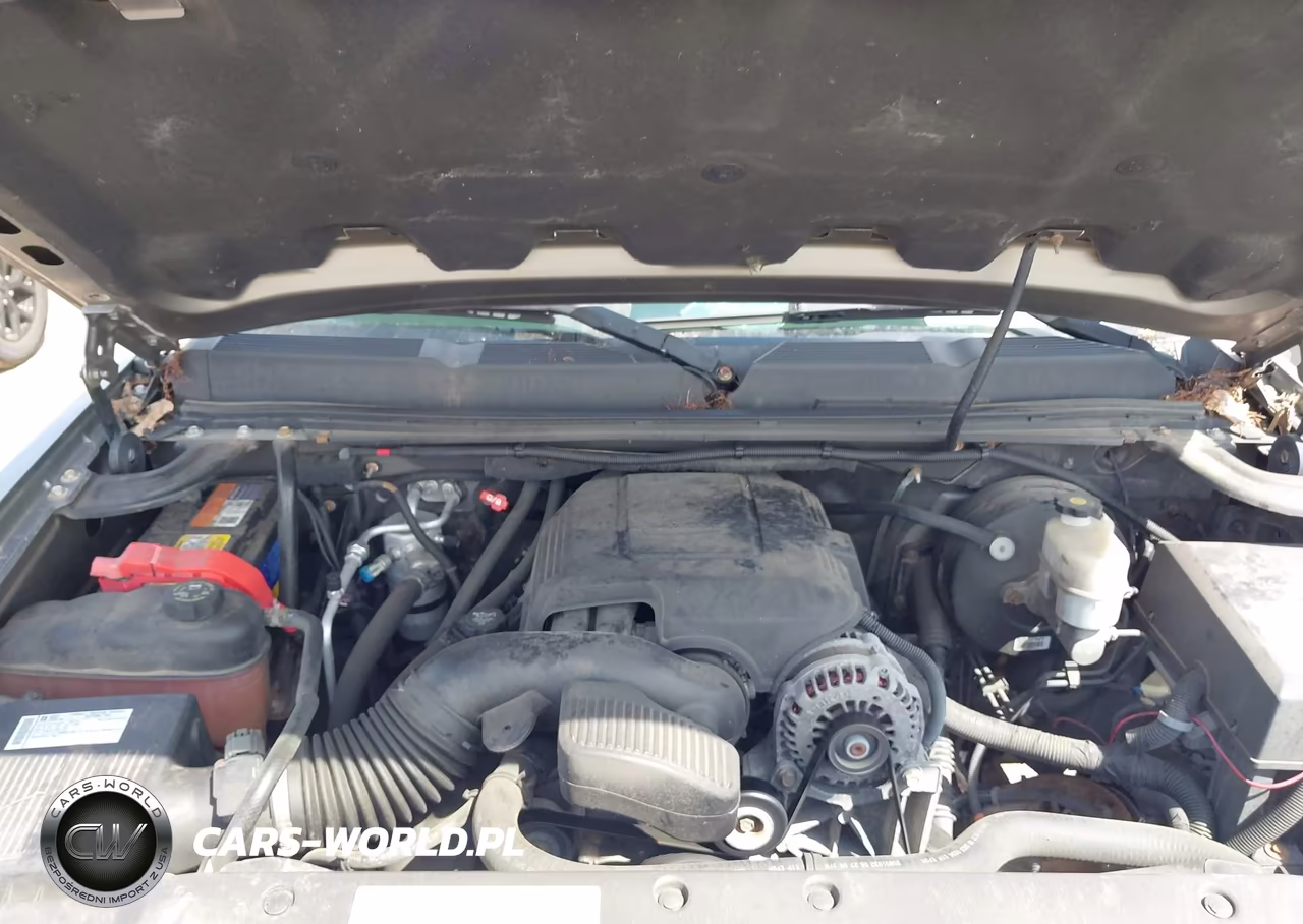 2009 Chevrolet Silverado 1500 Lt VIN:1GCEK29019Z105914 - 10