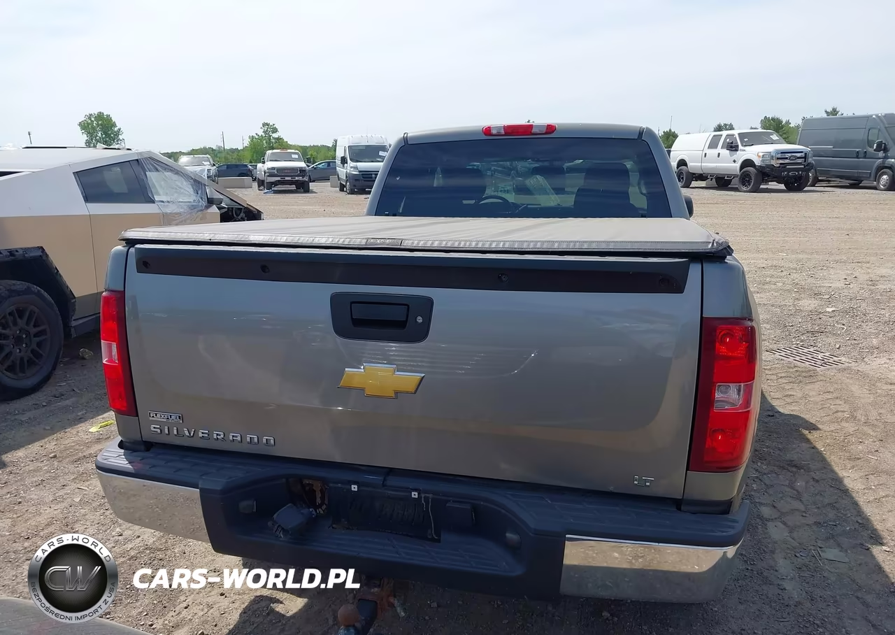 2009 Chevrolet Silverado 1500 Lt VIN:1GCEK29019Z105914 - 16