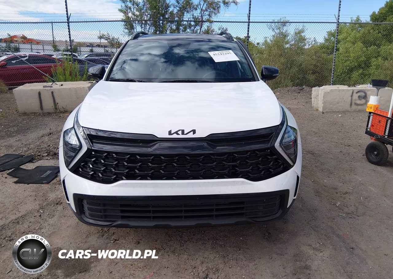 2025 Kia Sportage X-Line VIN:5XYK6CDF3SG297642 - 12