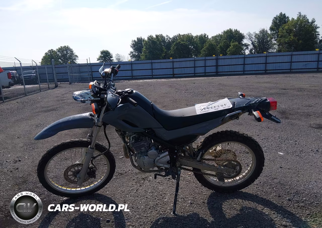 2023 Yamaha Xt250 VIN:JYADG24E7PA016887 - 12