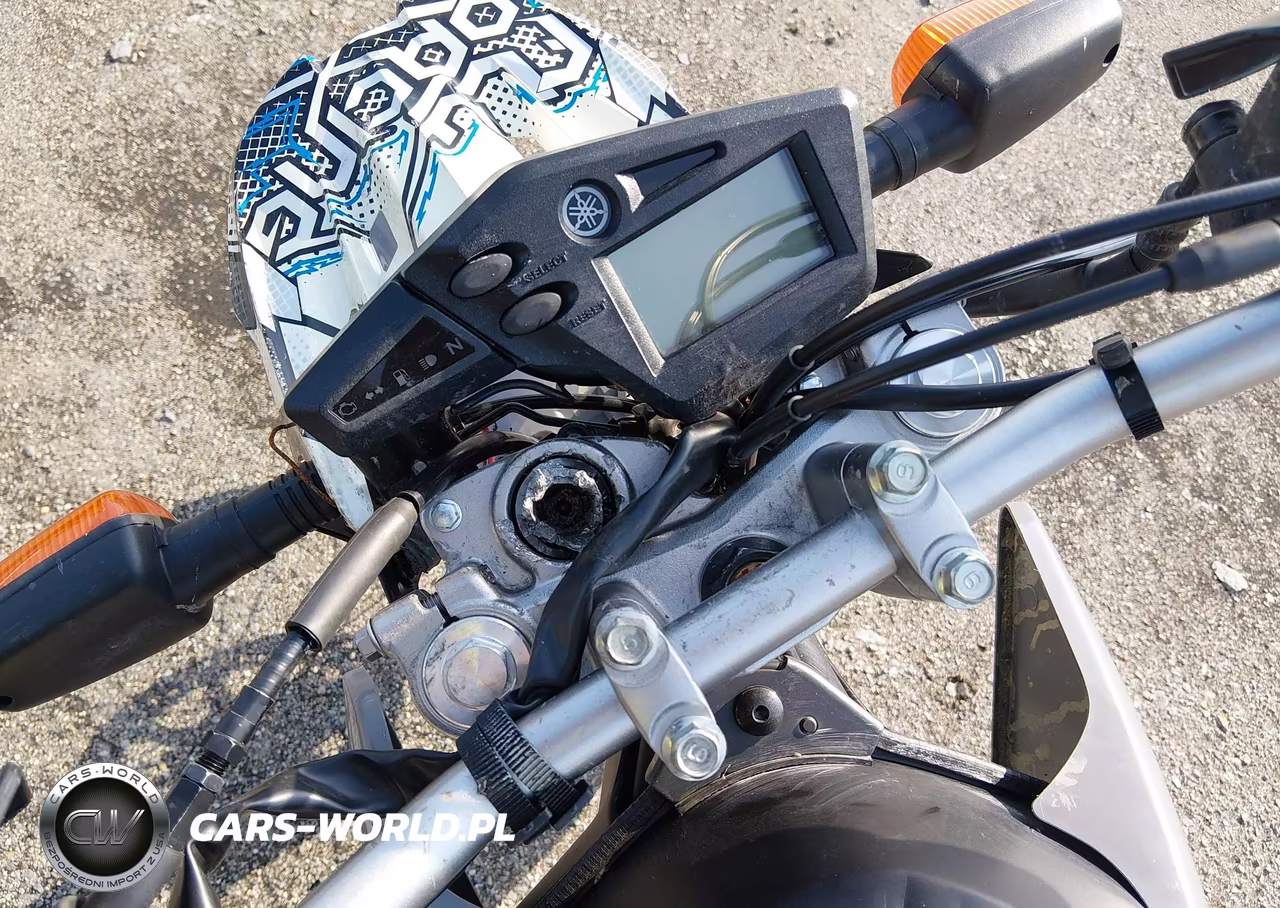 2023 Yamaha Xt250 VIN:JYADG24E7PA016887 - 13