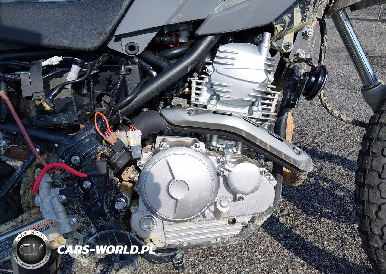 2023 Yamaha Xt250 VIN:JYADG24E7PA016887 - 8