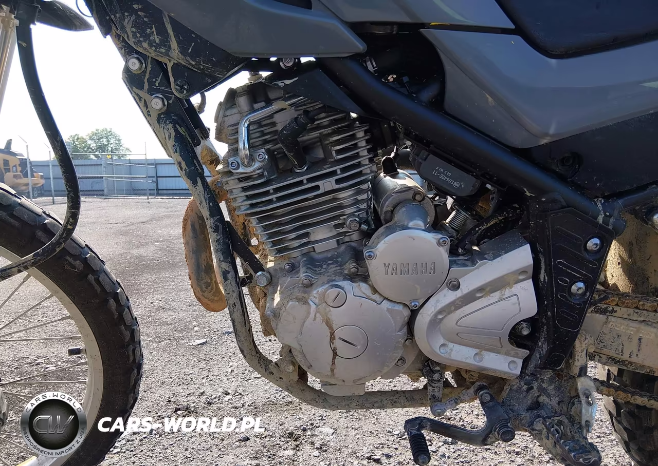 2023 Yamaha Xt250 VIN:JYADG24E7PA016887 - 9