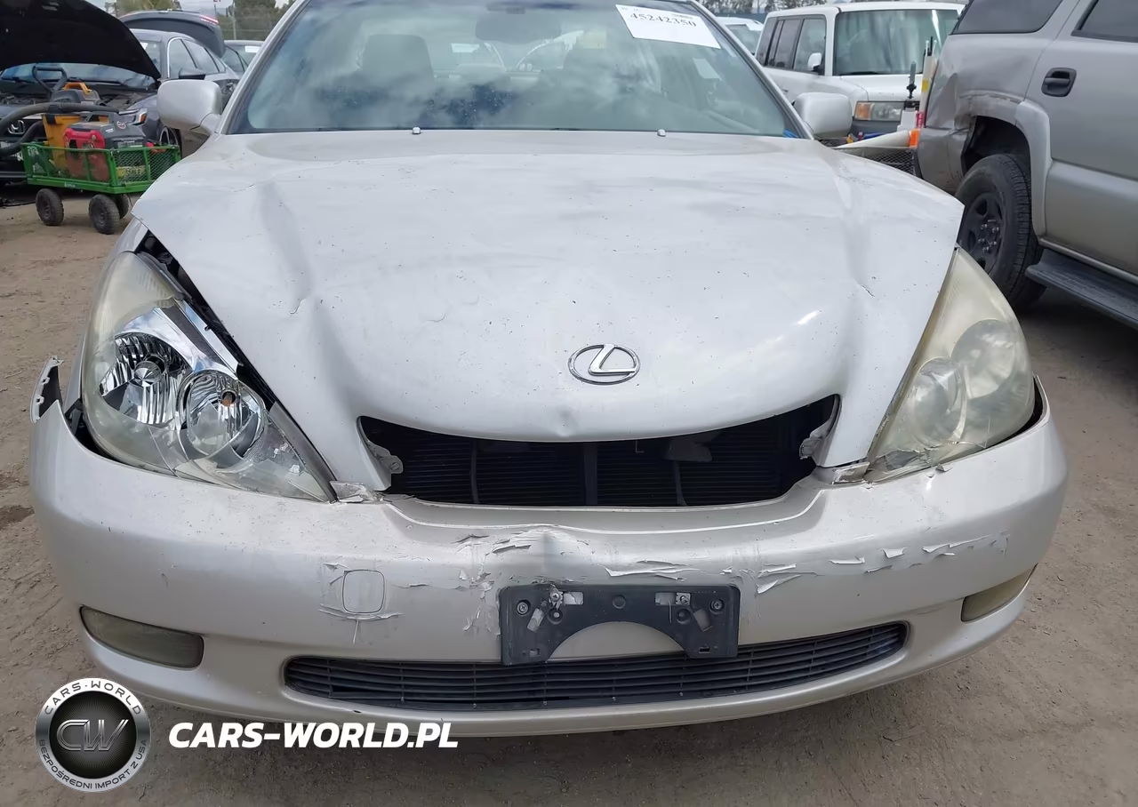 2004 Lexus Es 330 VIN:JTHBA30G745005692 - 6