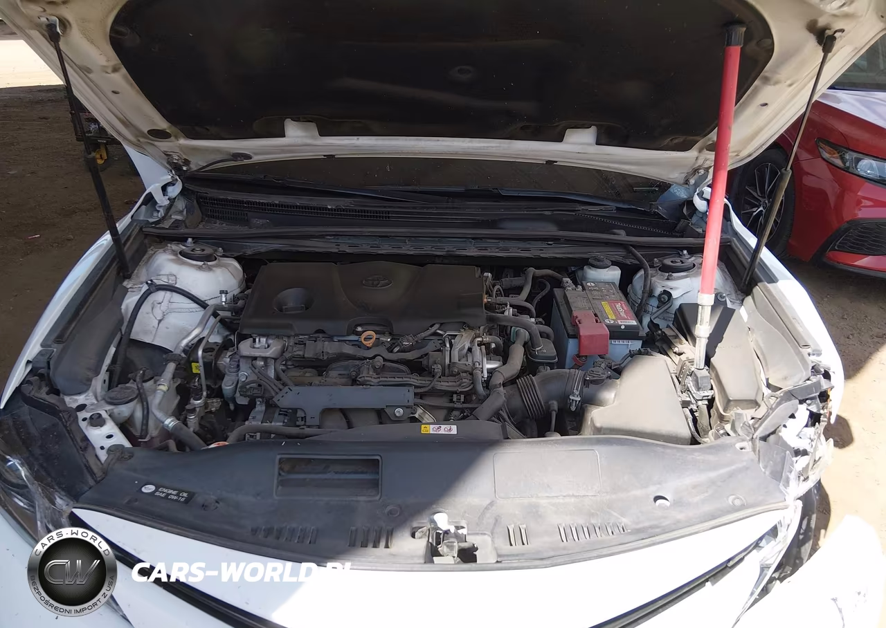 2020 Toyota Camry Le VIN:4T1C11AK6LU332405 - 10