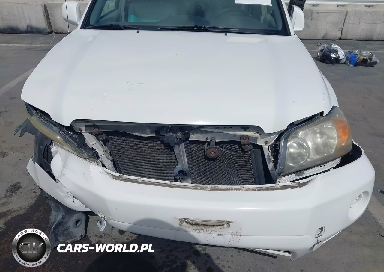 2004 Toyota Highlander VIN:JTEGD21A740092294 - 6