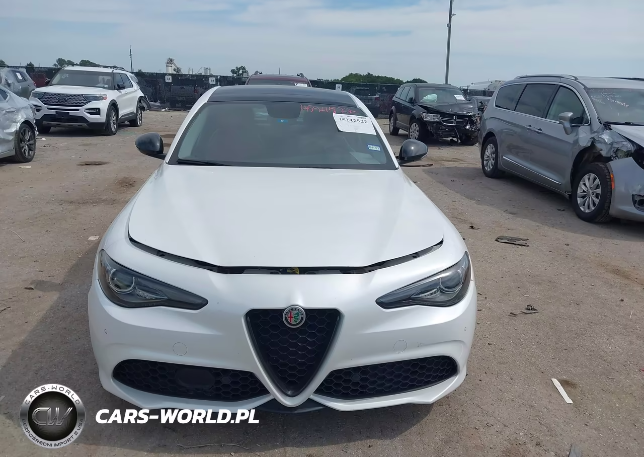 2019 Alfa Romeo Giulia Ti Sport Awd VIN:ZARFANBN1K7601043 - 12