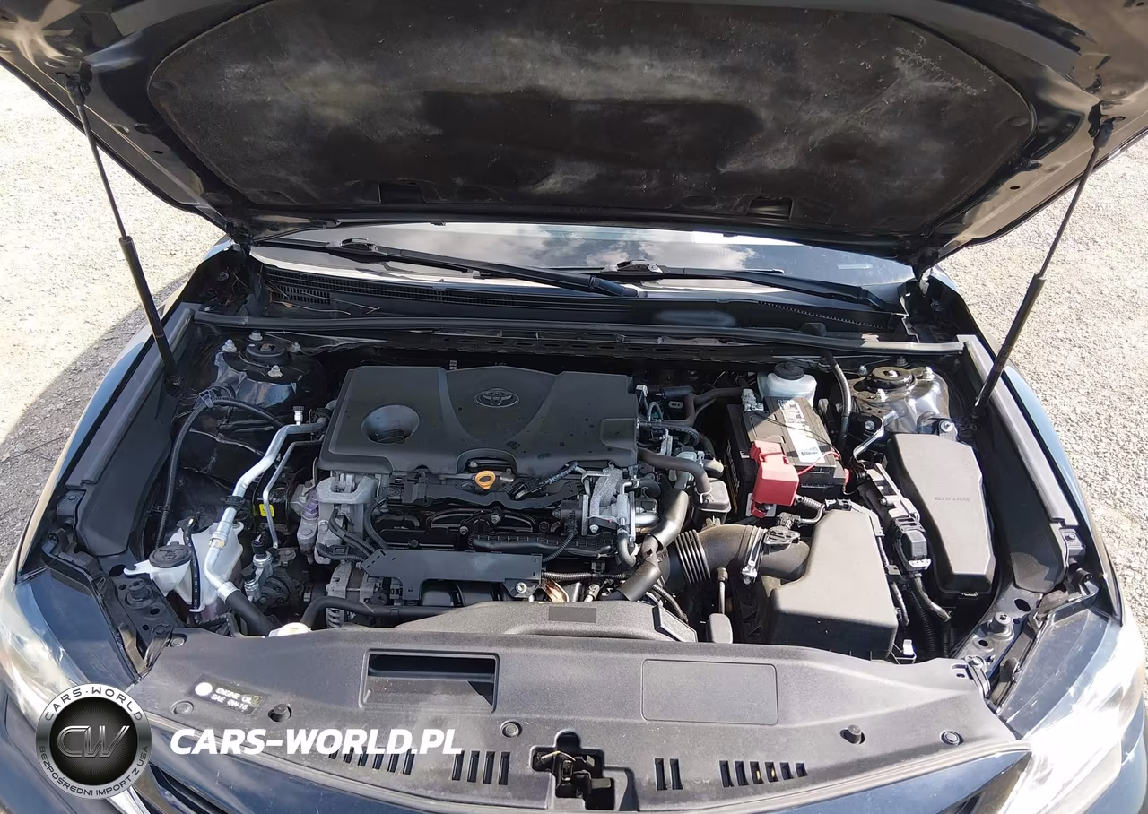 2019 Toyota Camry Se VIN:4T1B11HK2KU746751 - 10