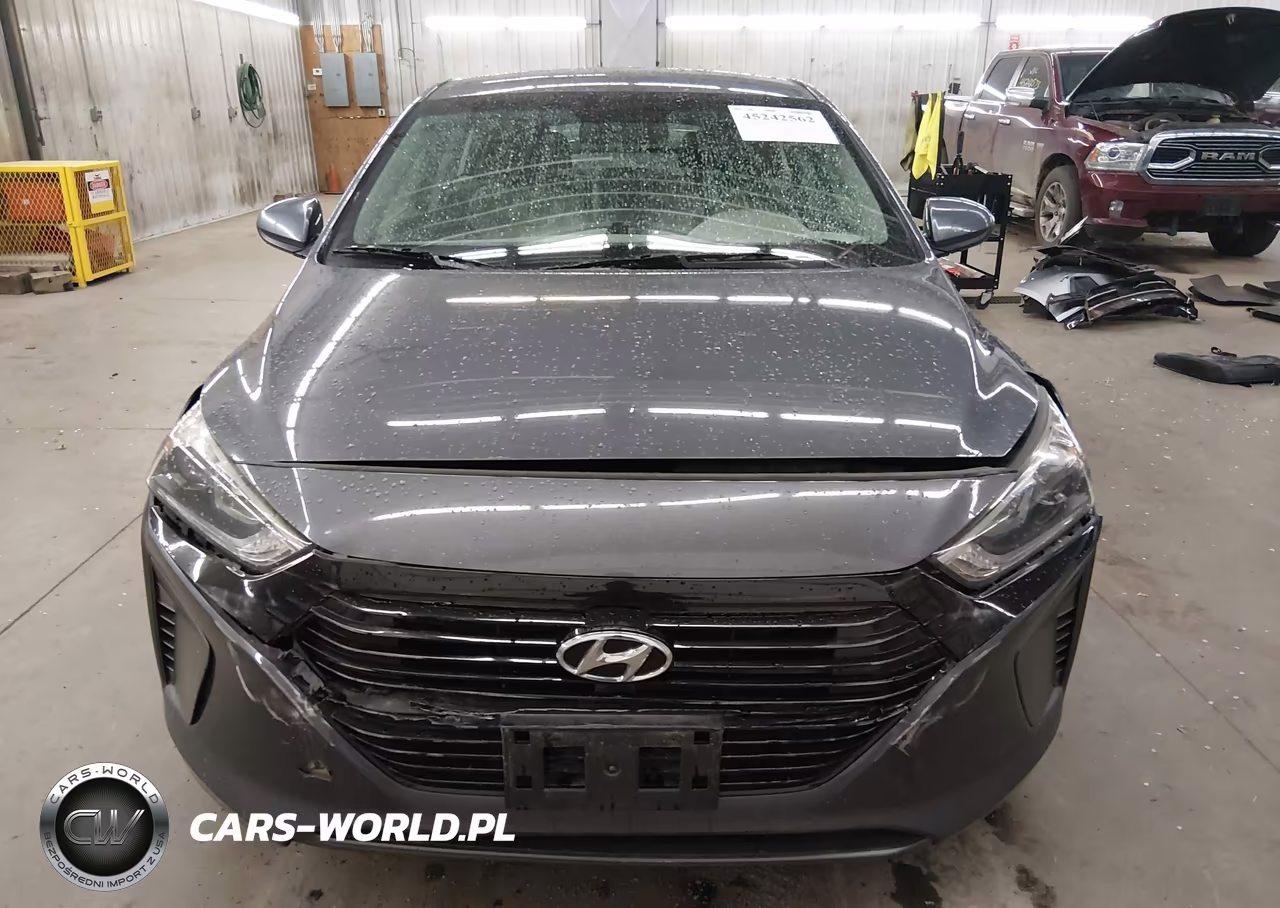2017 Hyundai Ioniq Hybrid Blue VIN:KMHC65LC2HU023536 - 13