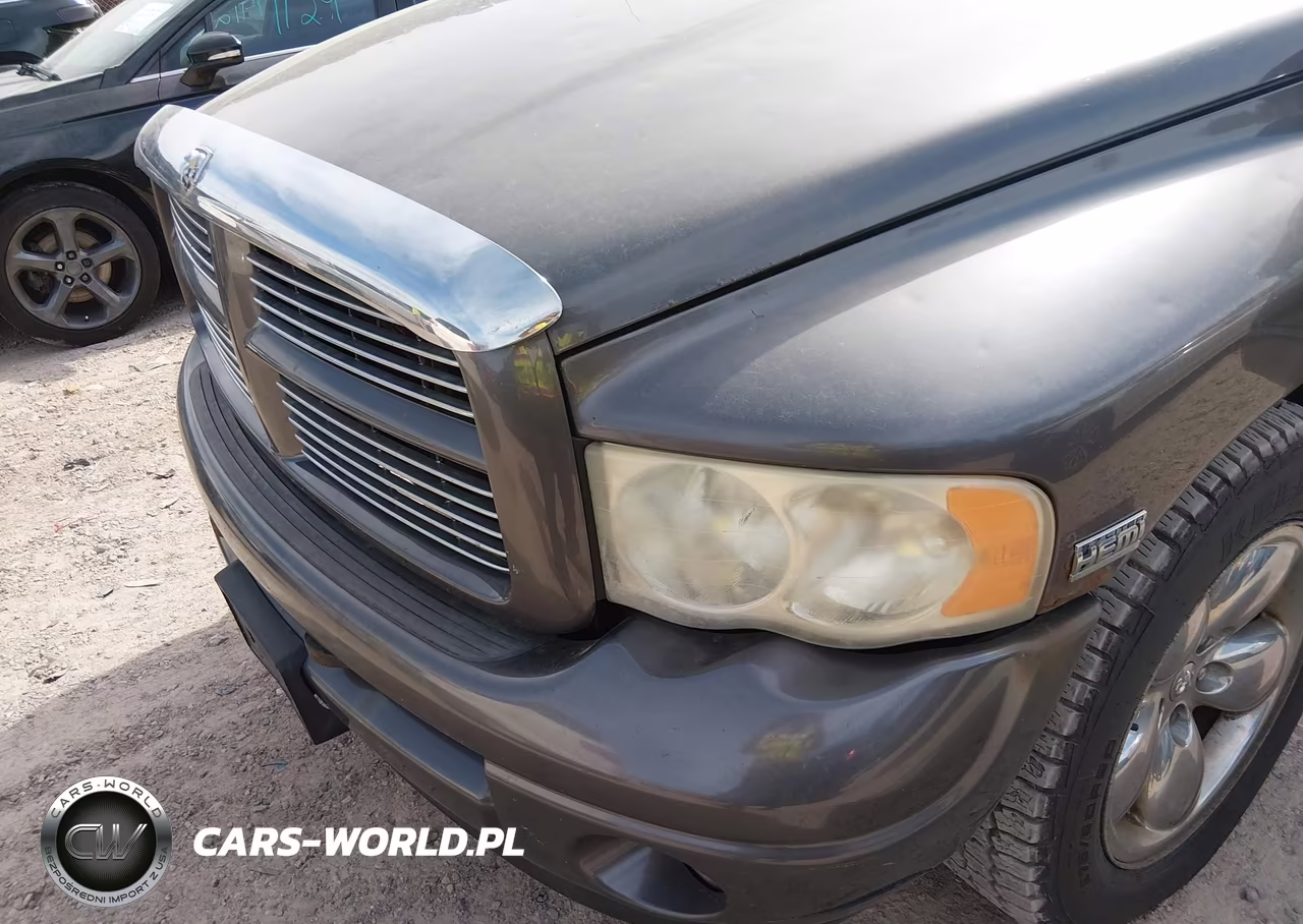 2003 Dodge Ram 1500 Slt-Laramie-St VIN:1D7HU18D23J647184 - 10