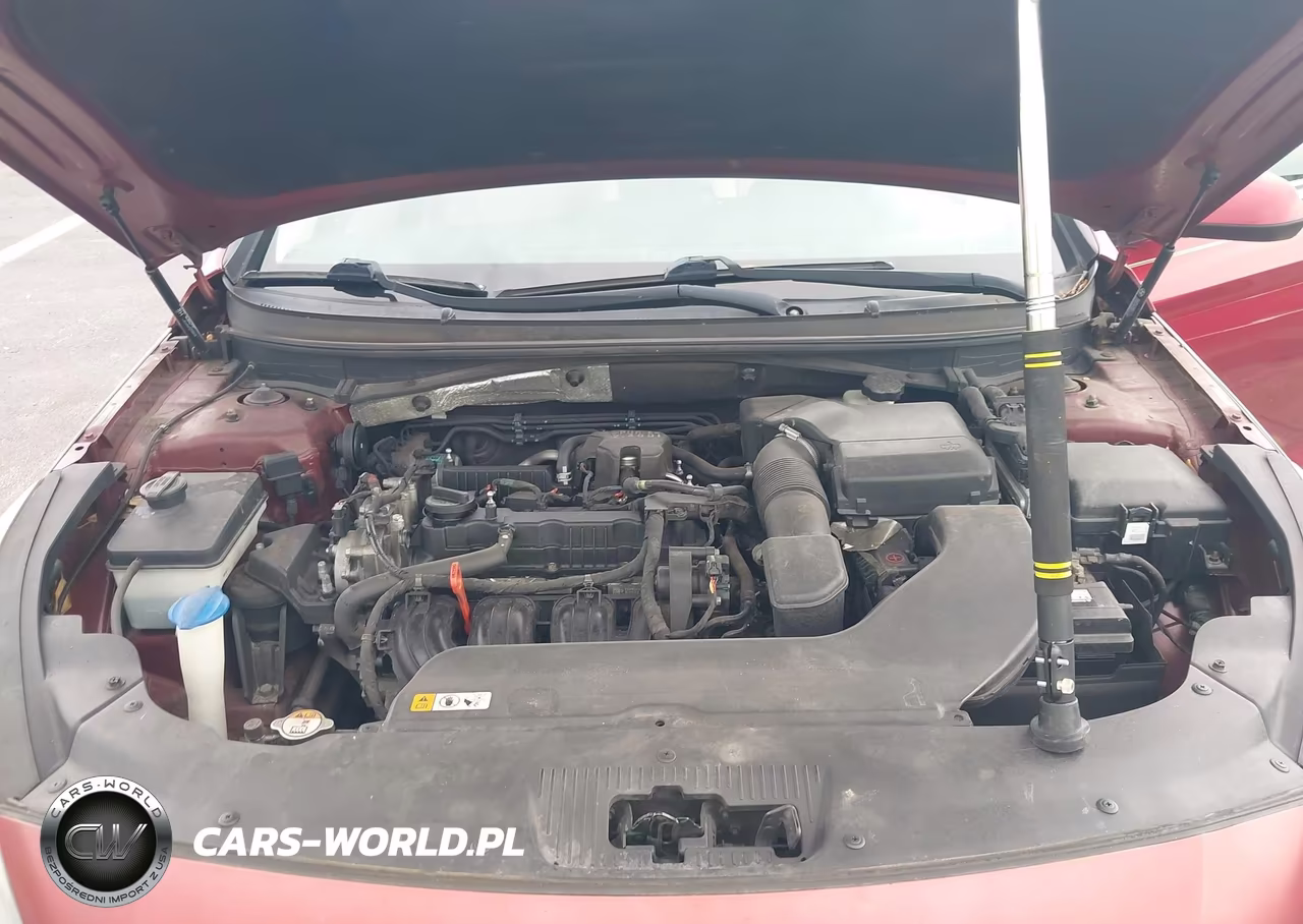 2015 Hyundai Sonata Se VIN:5NPE24AF9FH227483 - 10
