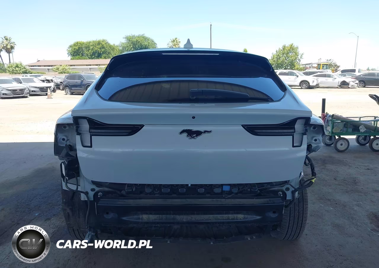 2022 Ford Mustang Mach-E Select VIN:3FMTK1RM6NMA17856 - 17