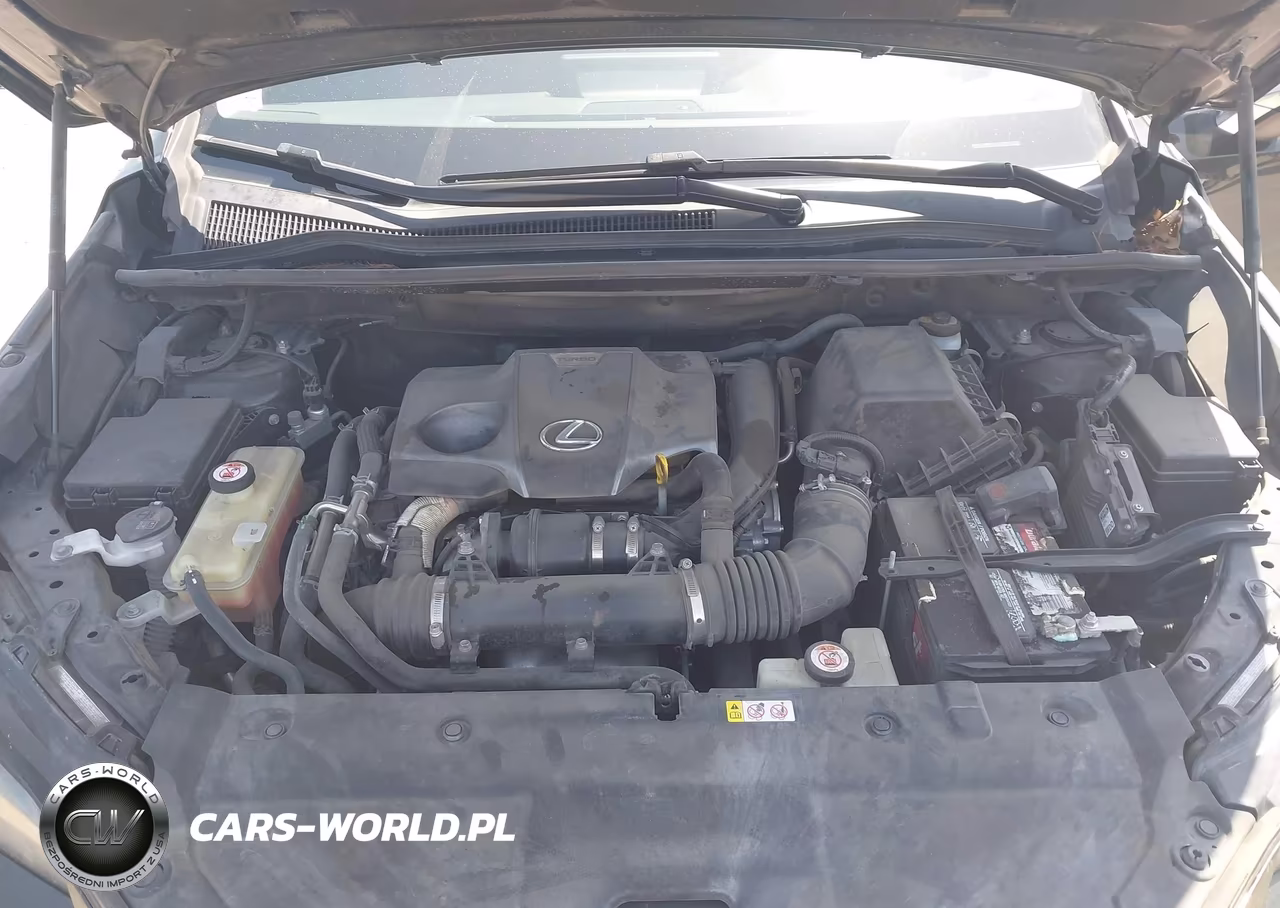 2019 Lexus Nx 300 VIN:JTJBARBZ0K2195818 - 10