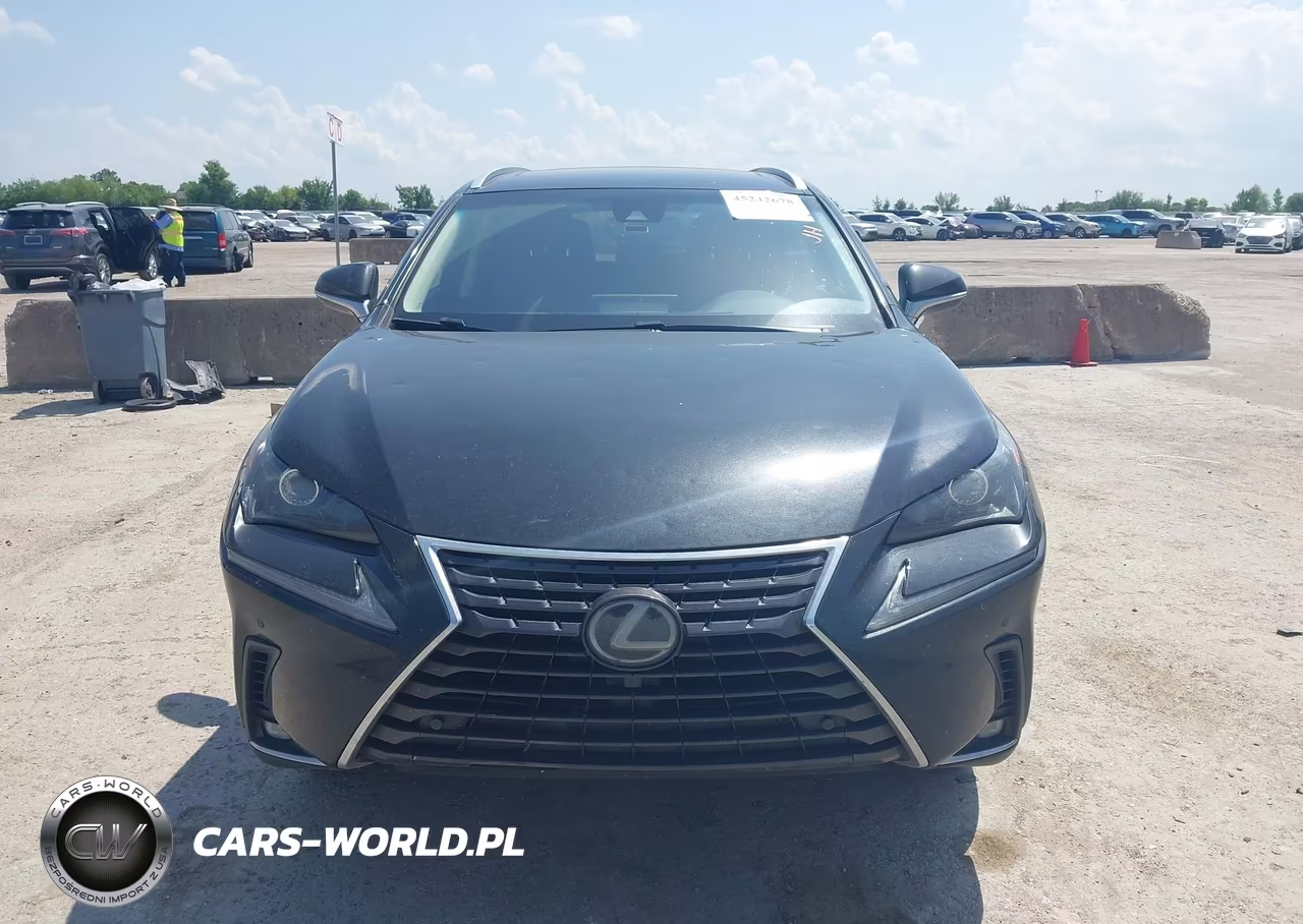 2019 Lexus Nx 300 VIN:JTJBARBZ0K2195818 - 12