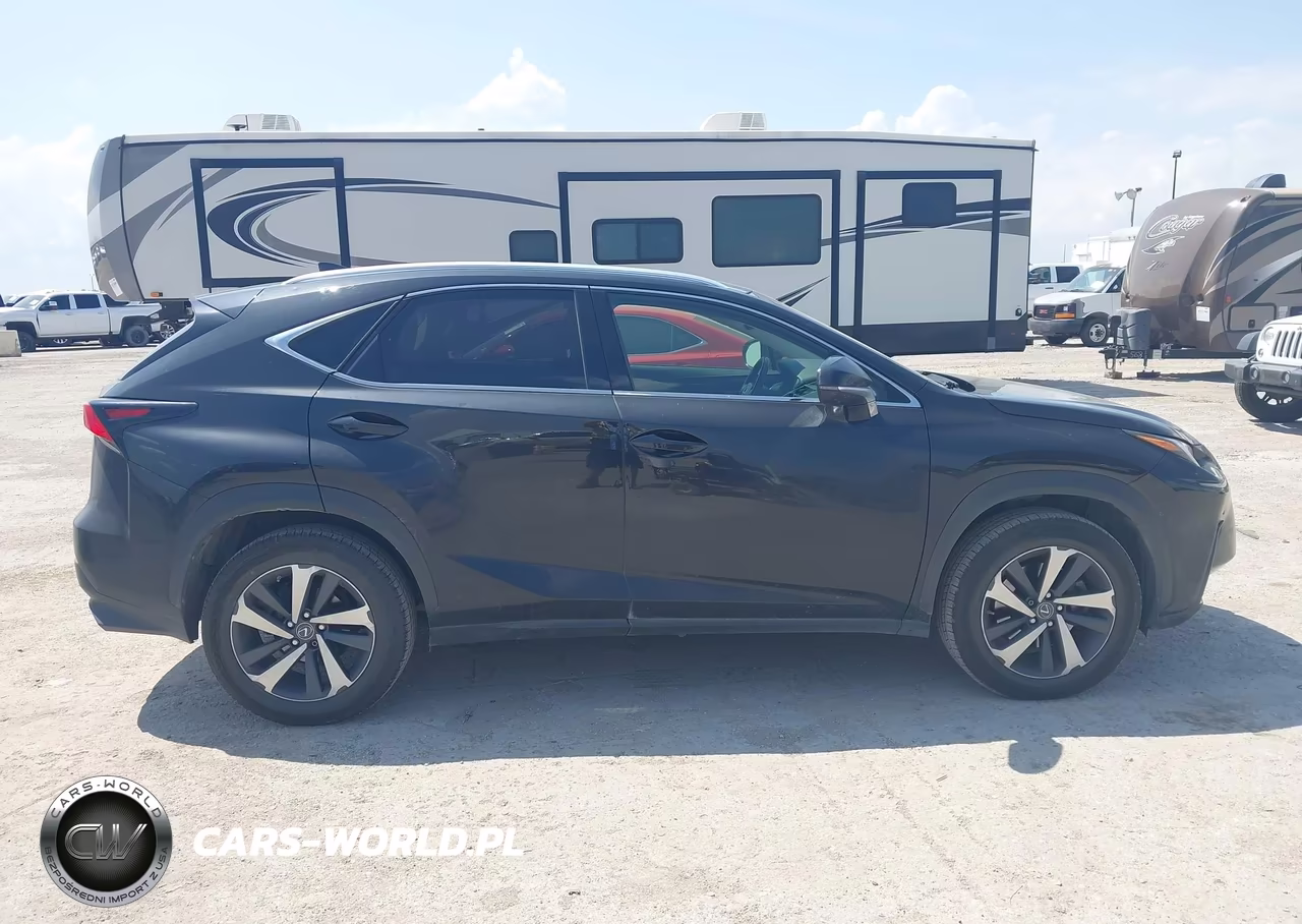 2019 Lexus Nx 300 VIN:JTJBARBZ0K2195818 - 13