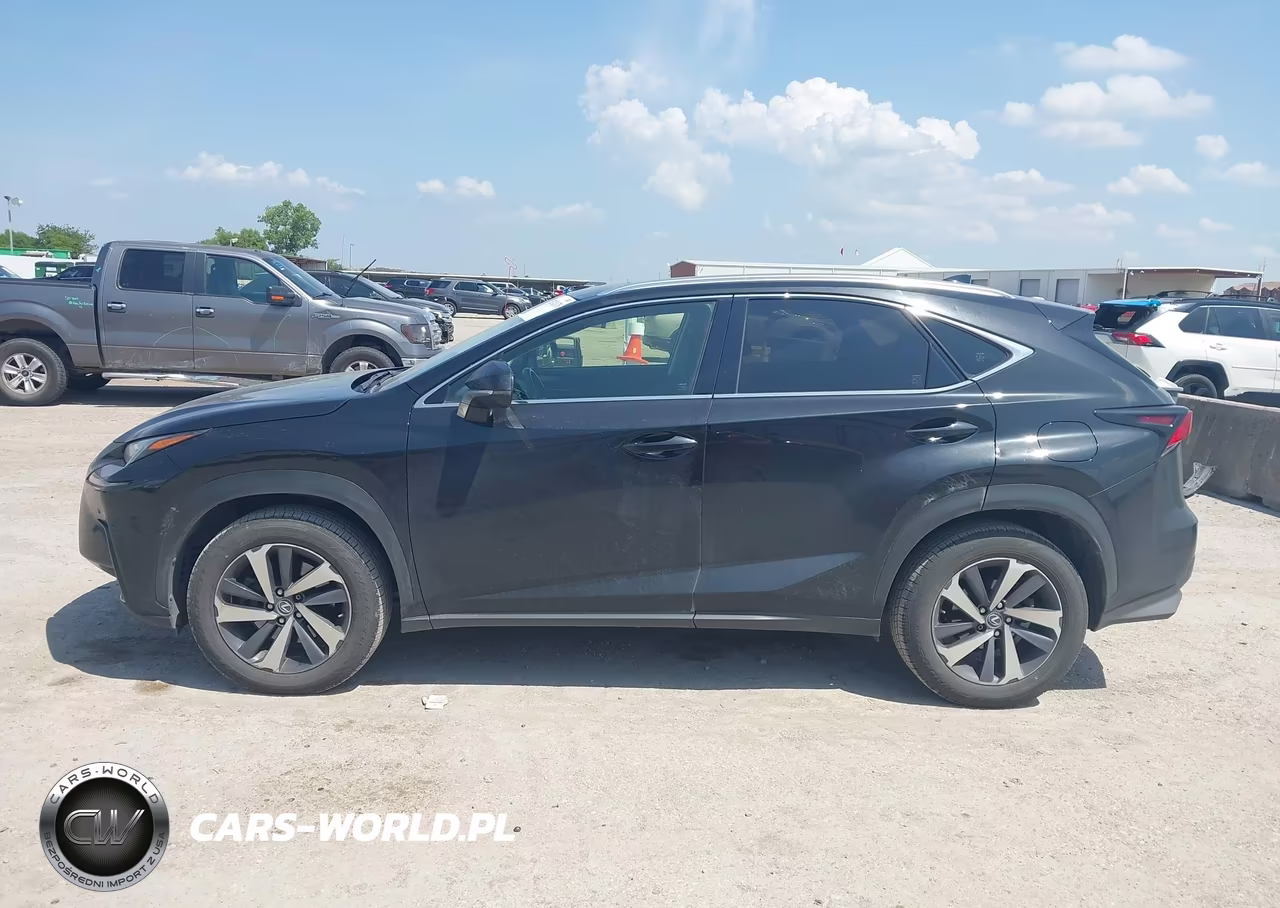 2019 Lexus Nx 300 VIN:JTJBARBZ0K2195818 - 14