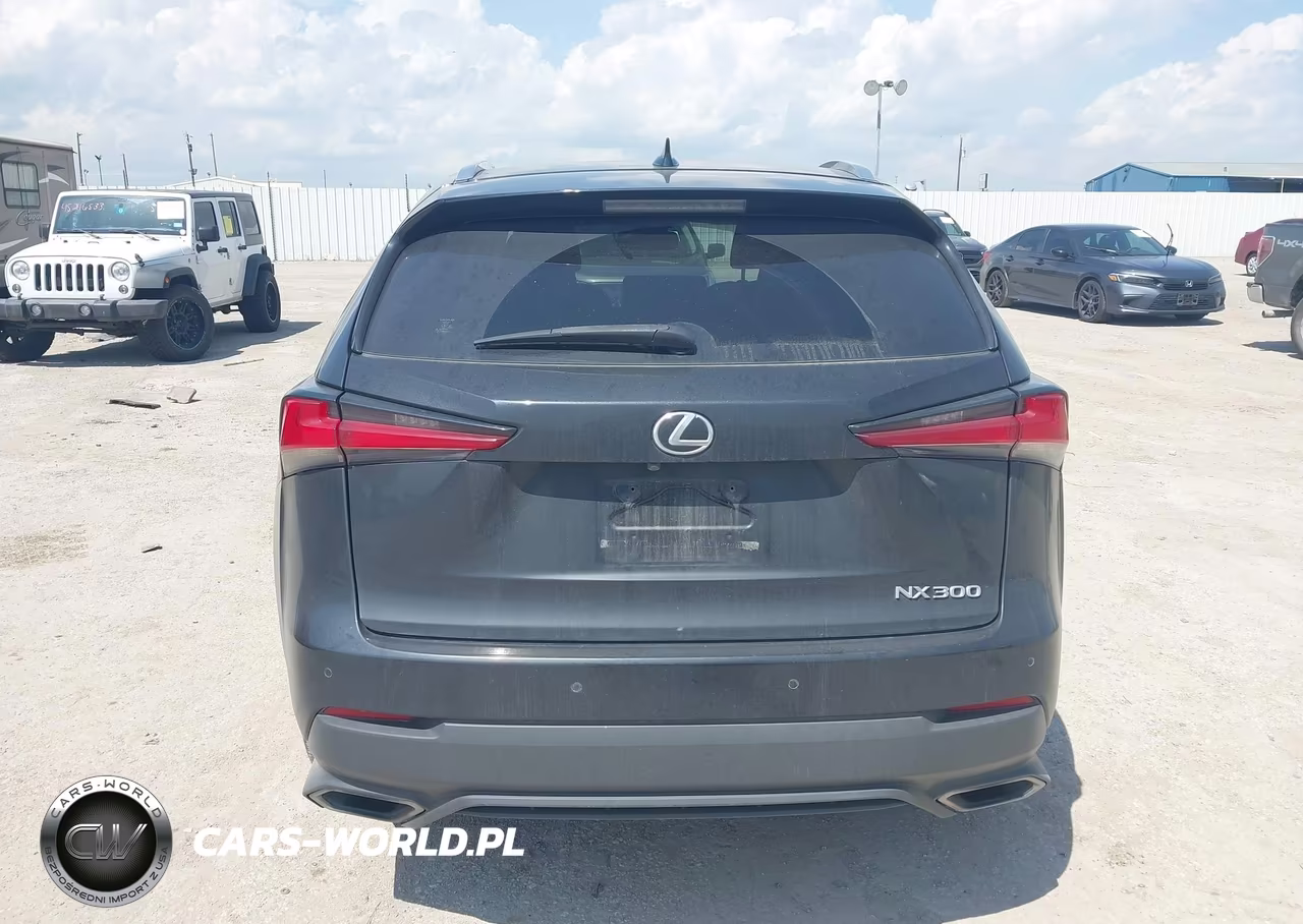 2019 Lexus Nx 300 VIN:JTJBARBZ0K2195818 - 16