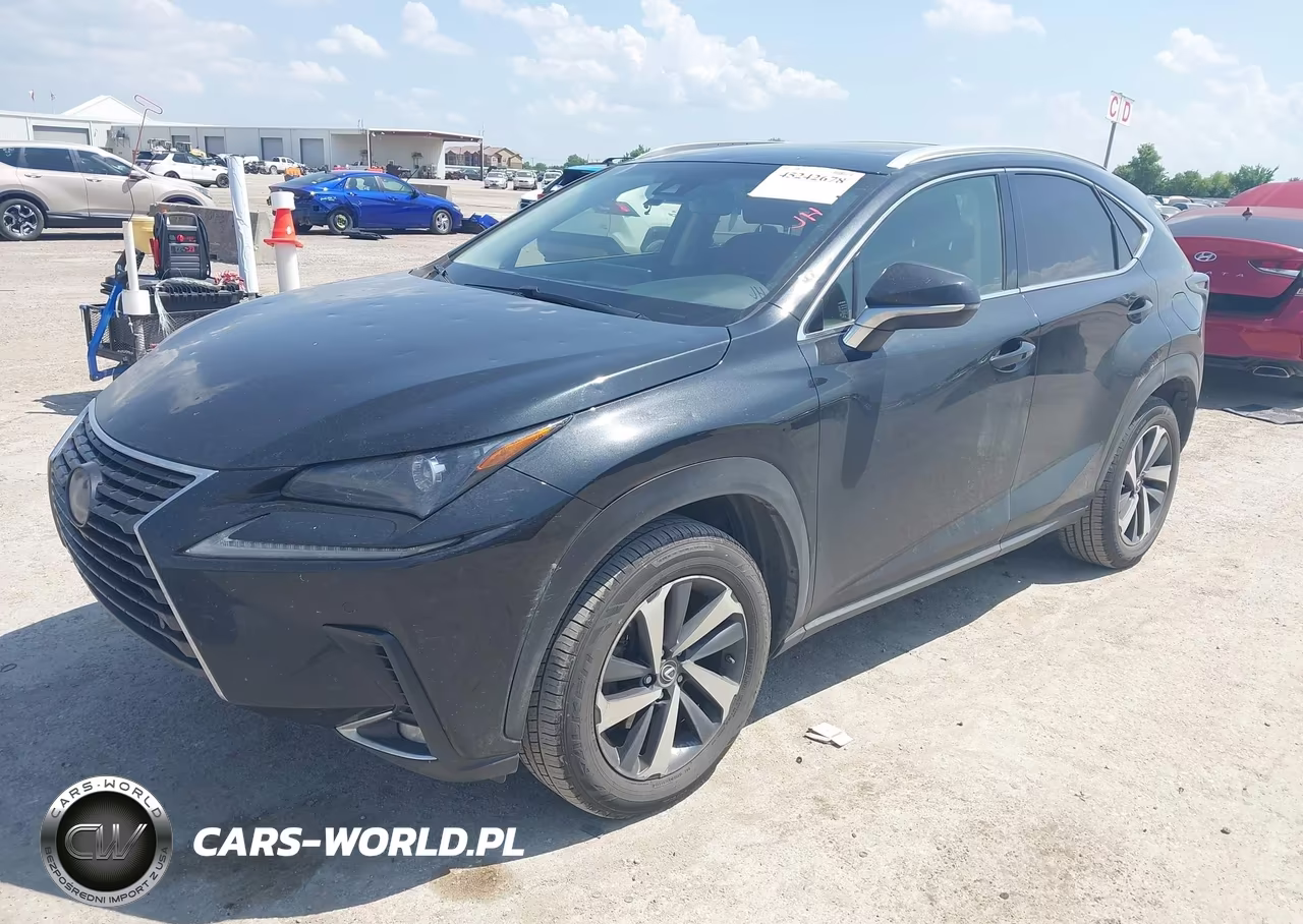 2019 Lexus Nx 300 VIN:JTJBARBZ0K2195818 - 2