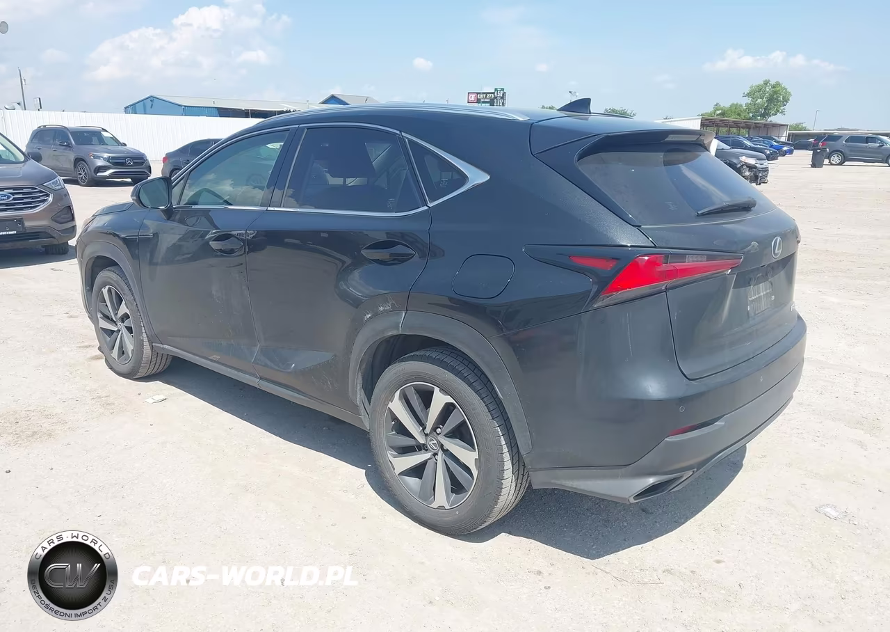 2019 Lexus Nx 300 VIN:JTJBARBZ0K2195818 - 3
