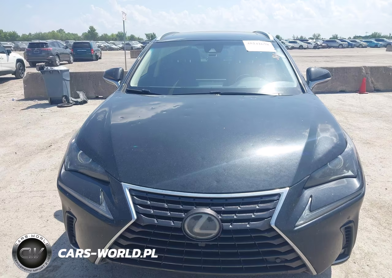2019 Lexus Nx 300 VIN:JTJBARBZ0K2195818 - 6