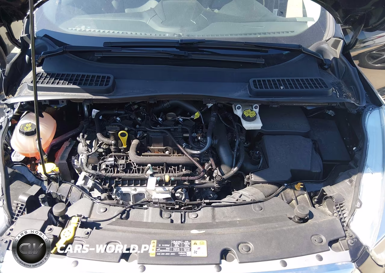 2019 Ford Escape Se VIN:1FMCU9GD4KUB24066 - 10
