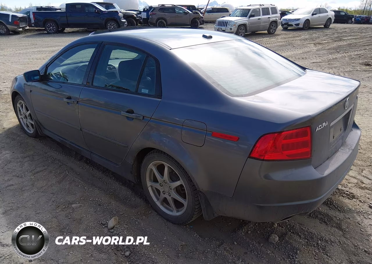 2005 Acura Tl VIN:19UUA66275A082466 - 3
