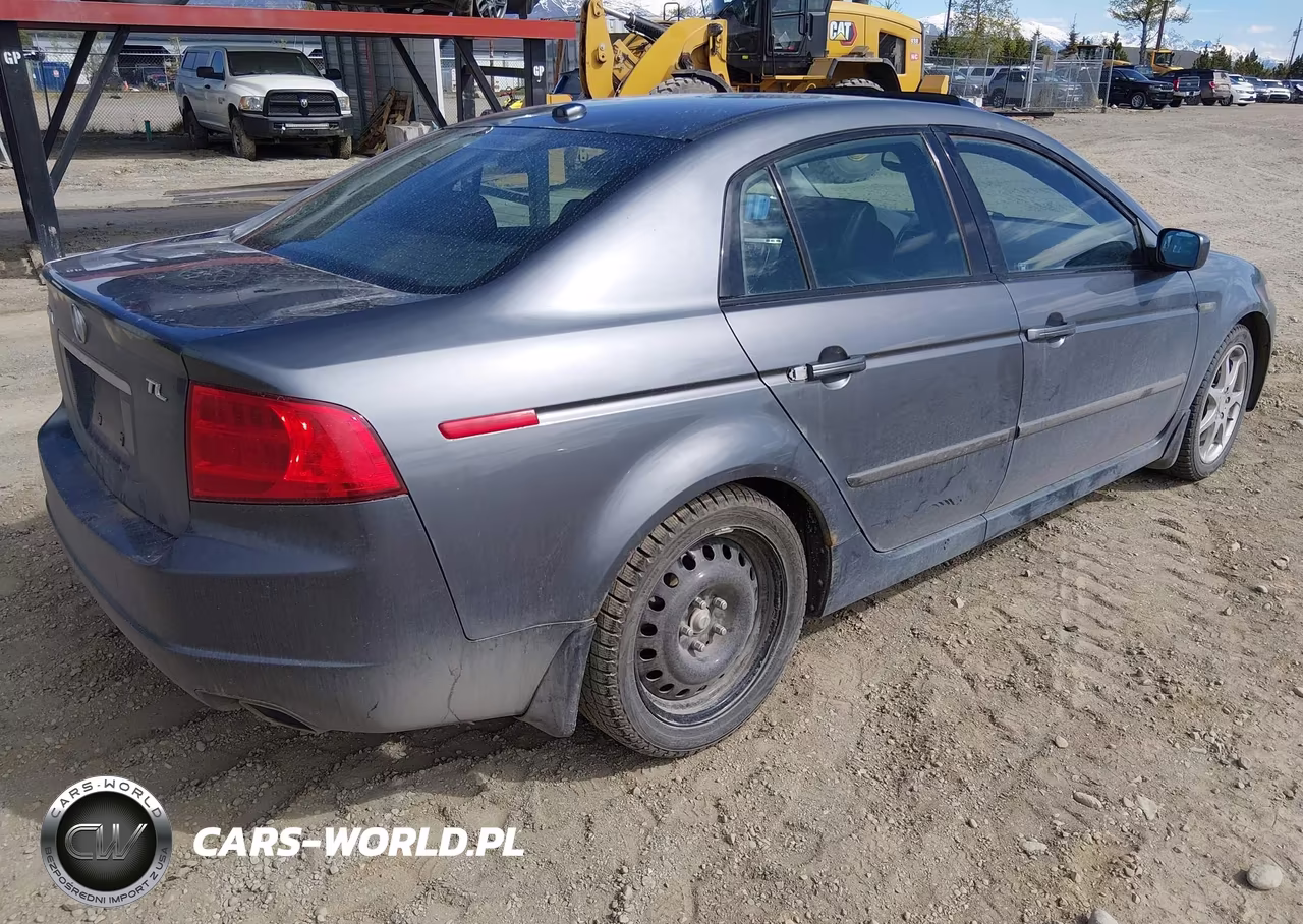2005 Acura Tl VIN:19UUA66275A082466 - 4