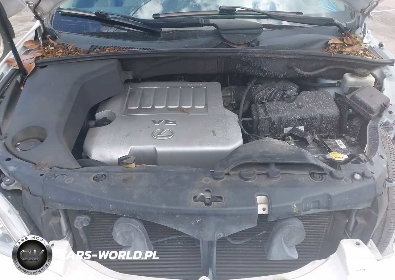 2009 Lexus Rx 350 VIN:2T2GK31U09C080703 - 10