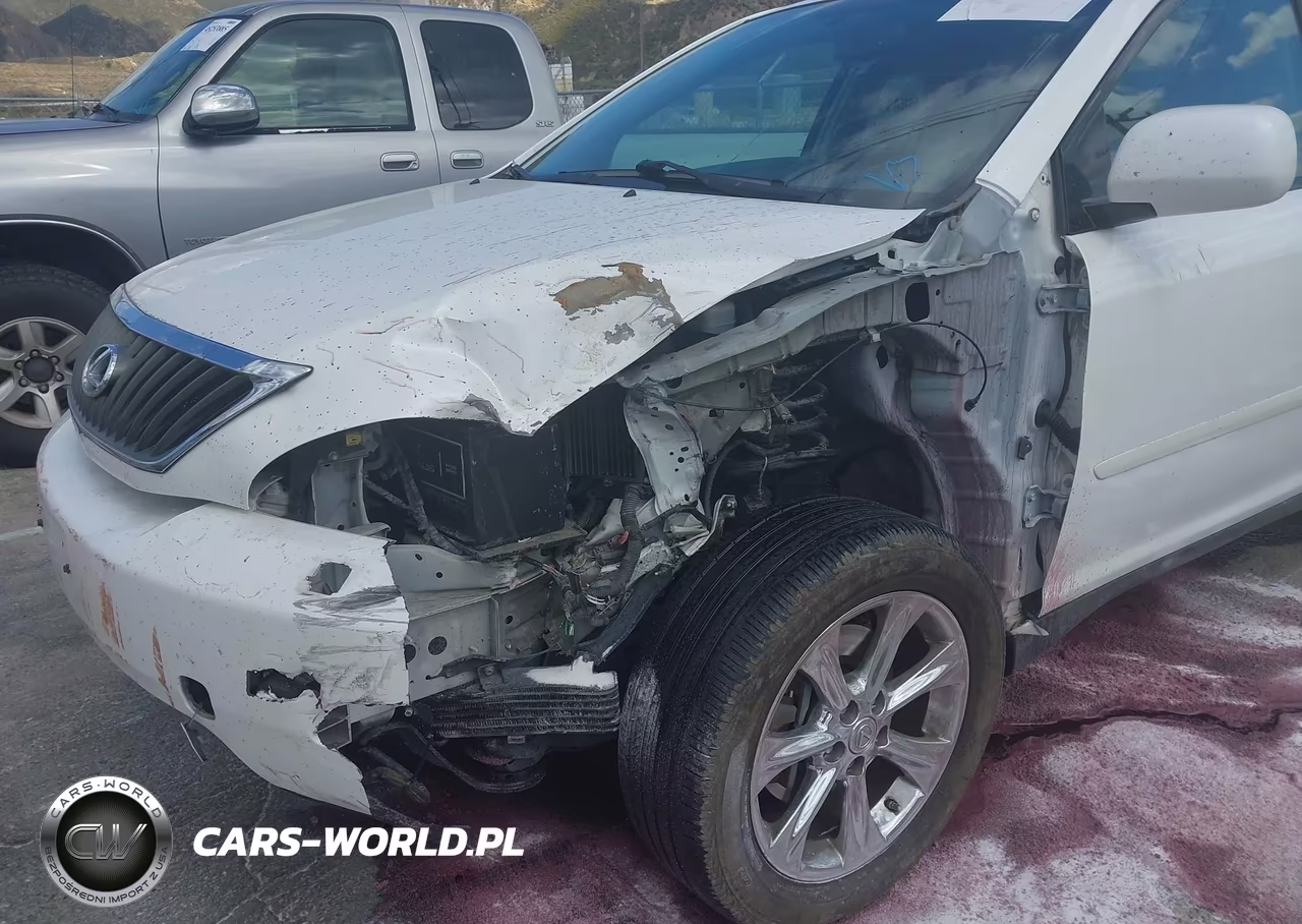 2009 Lexus Rx 350 VIN:2T2GK31U09C080703 - 6