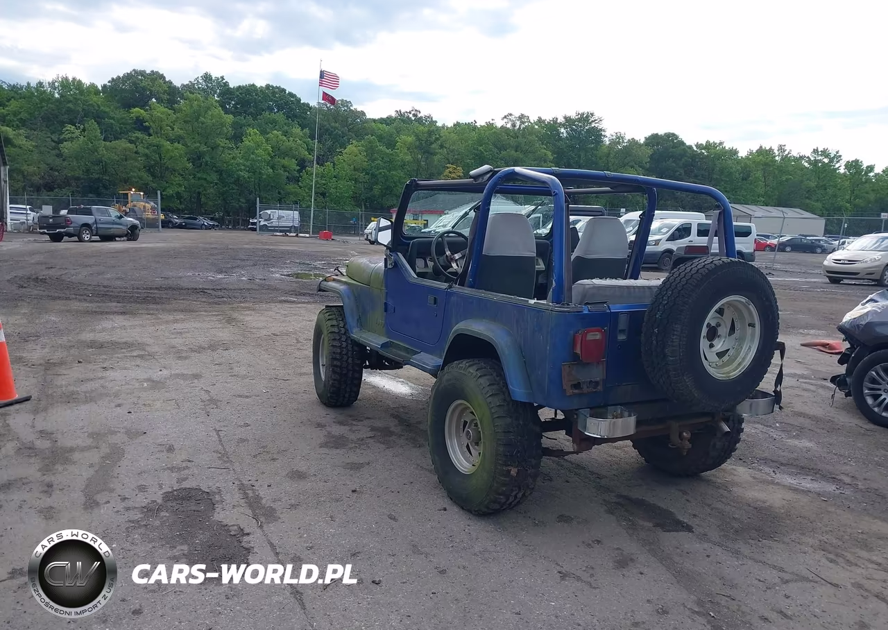 1994 Jeep Wrangler - Yj Se VIN:1J4FY29S6RP452360 - 3