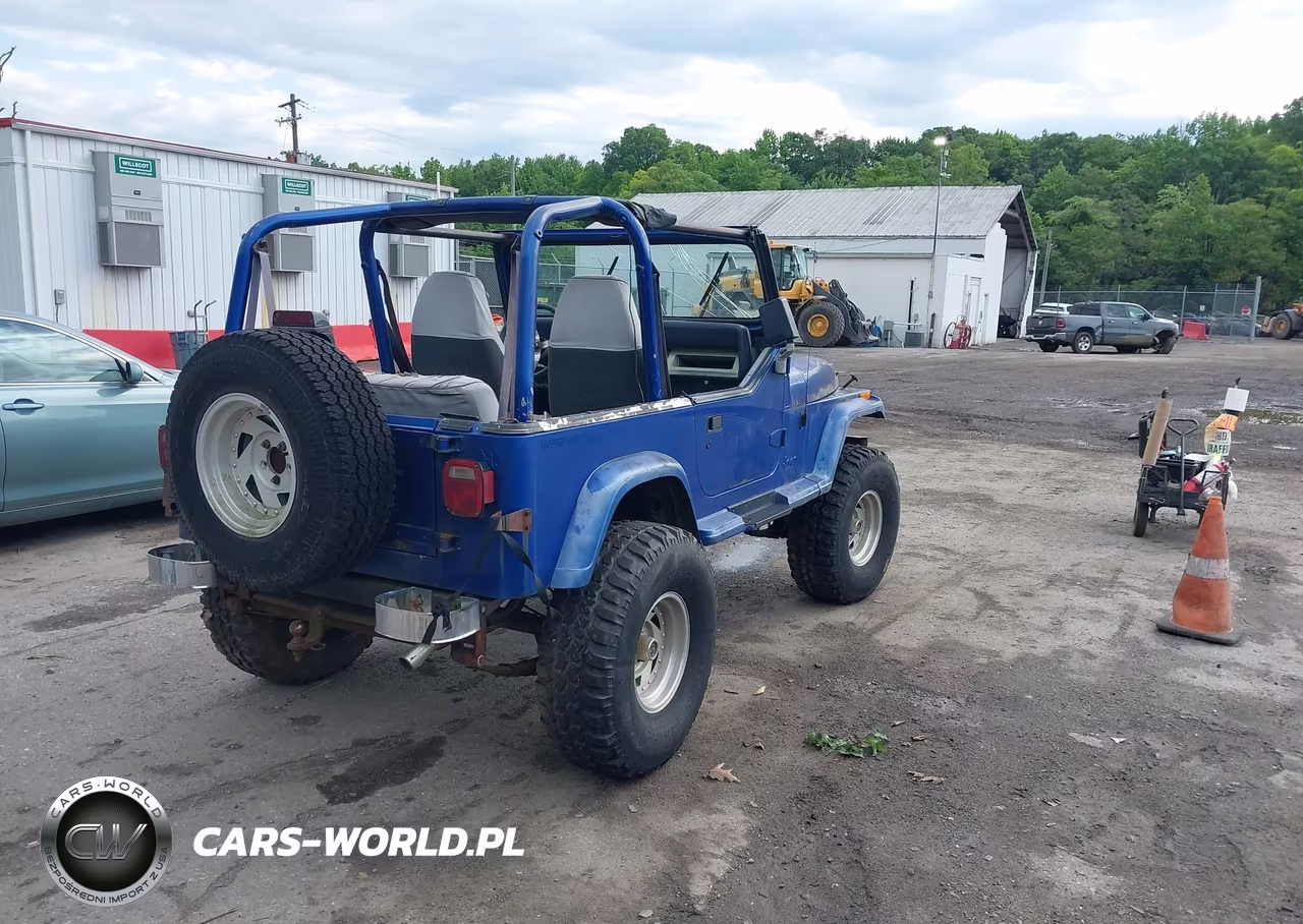 1994 Jeep Wrangler - Yj Se VIN:1J4FY29S6RP452360 - 4