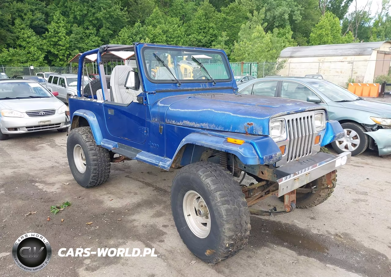 1994 Jeep Wrangler - Yj Se VIN:1J4FY29S6RP452360 - 6