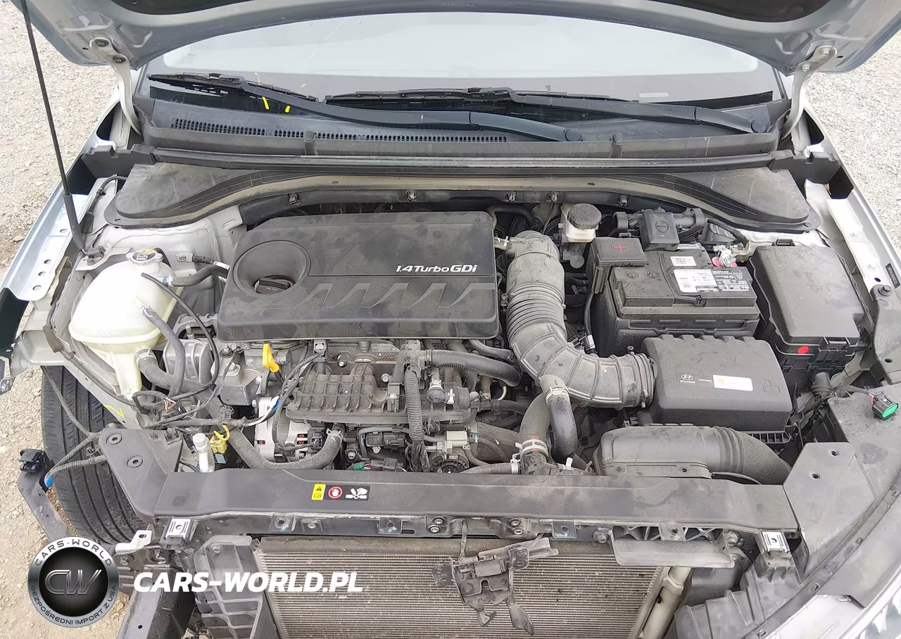 2020 Hyundai Elantra Eco VIN:5NPD94LA9LH602342 - 10