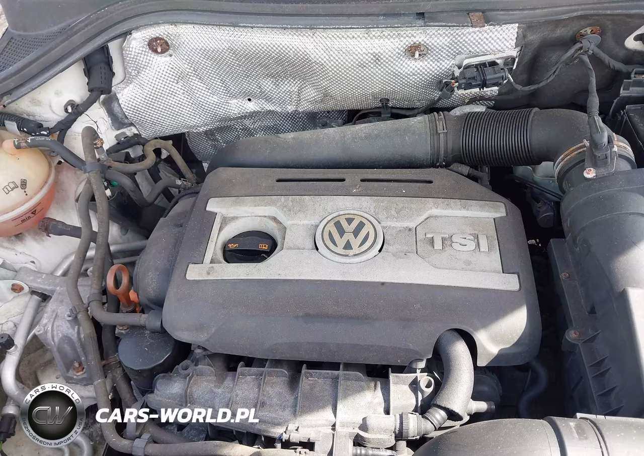 2011 Volkswagen Tiguan S VIN:WVGCV7AX1BW541704 - 10