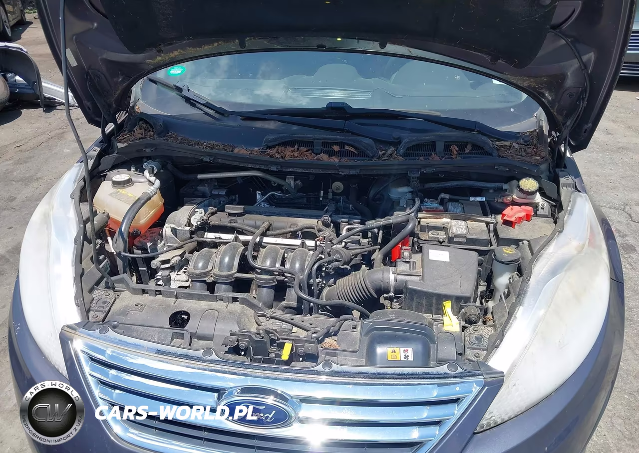 2013 Ford Fiesta Se VIN:3FADP4BJ4DM161888 - 10