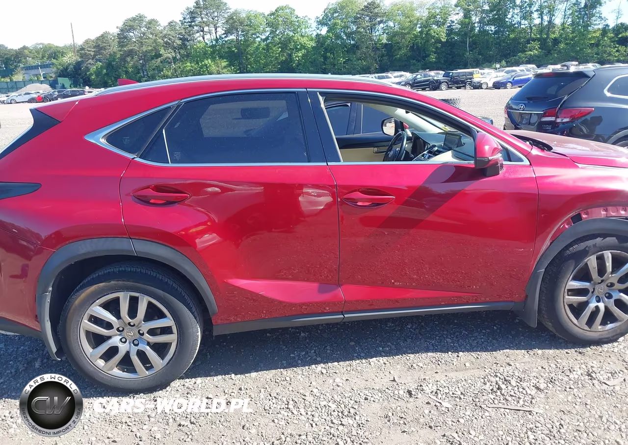 2015 Lexus Nx 200T VIN:JTJBARBZ8F2006998 - 13