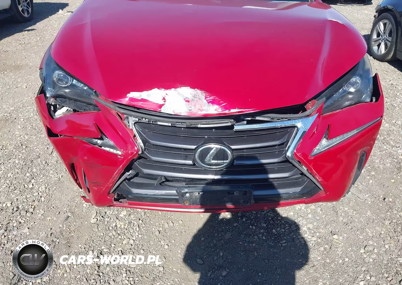 2015 Lexus Nx 200T VIN:JTJBARBZ8F2006998 - 6