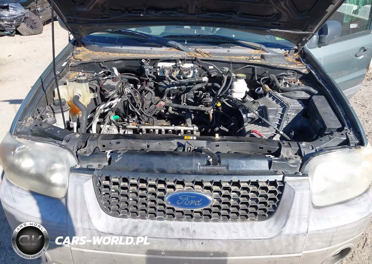 2007 Ford Escape Xlt-Xlt Sport VIN:1FMCU03117KA93143 - 10