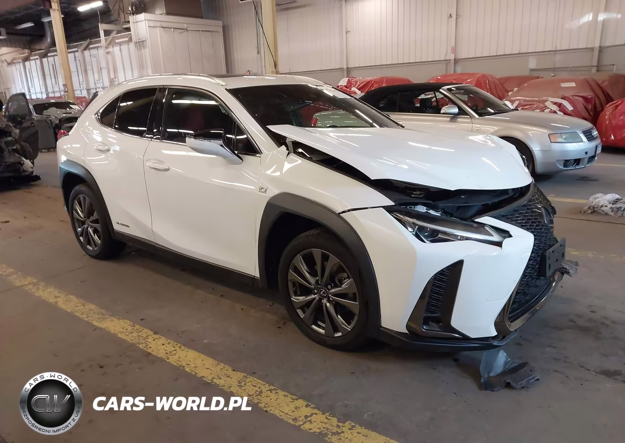 2019 Lexus Ux 250H F Sport