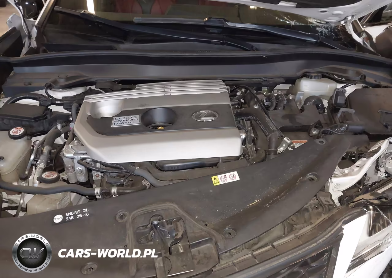 2019 Lexus Ux 250H F Sport VIN:JTHU9JBH9K2009706 - 10