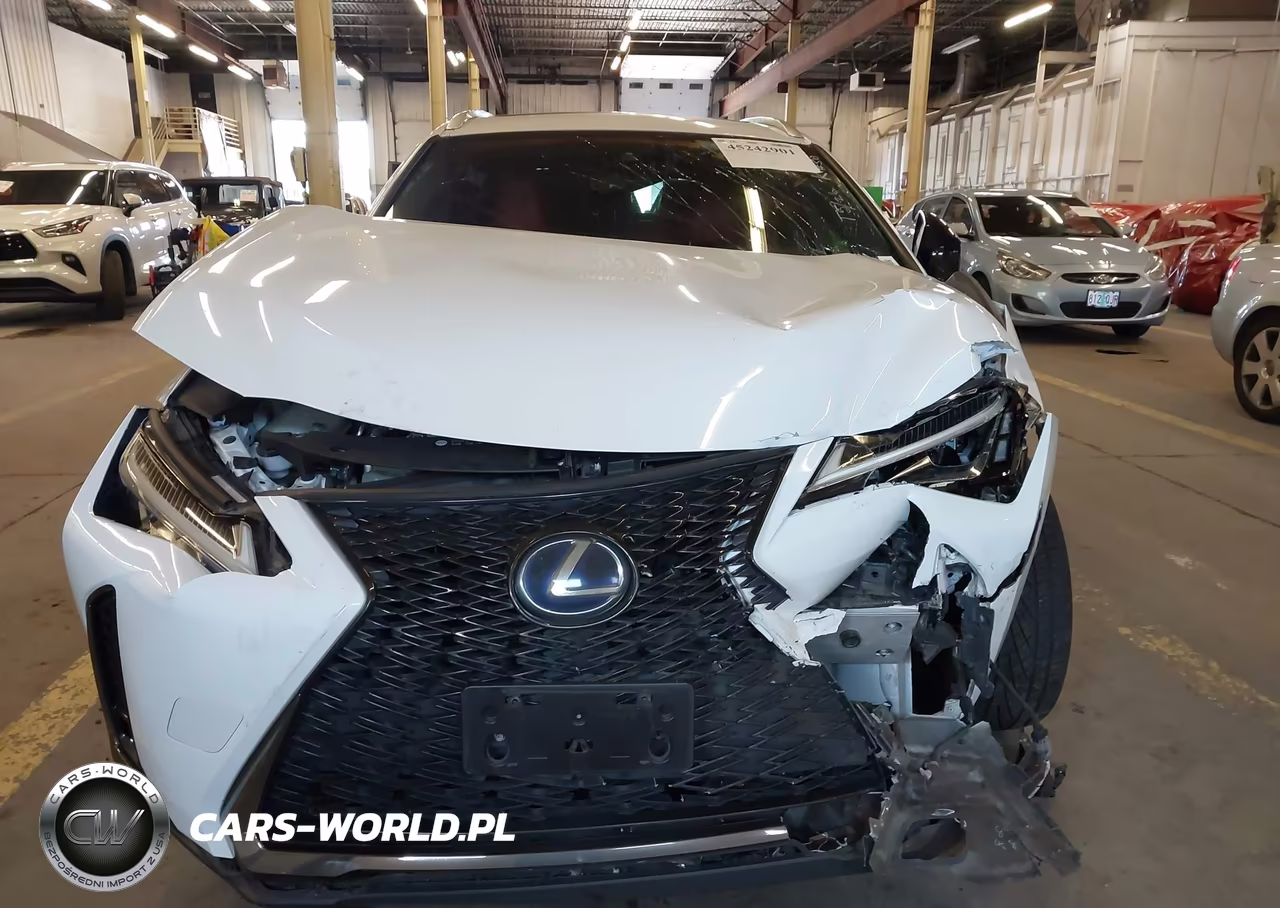 2019 Lexus Ux 250H F Sport VIN:JTHU9JBH9K2009706 - 12