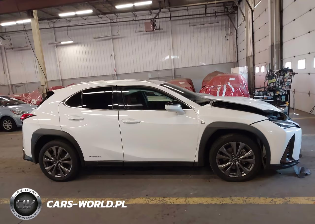 2019 Lexus Ux 250H F Sport VIN:JTHU9JBH9K2009706 - 13