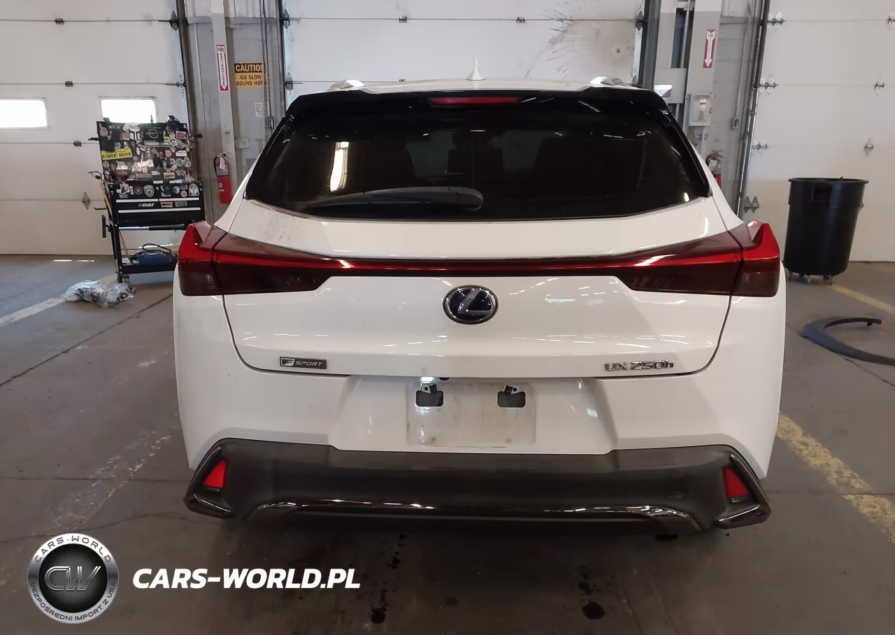2019 Lexus Ux 250H F Sport VIN:JTHU9JBH9K2009706 - 16