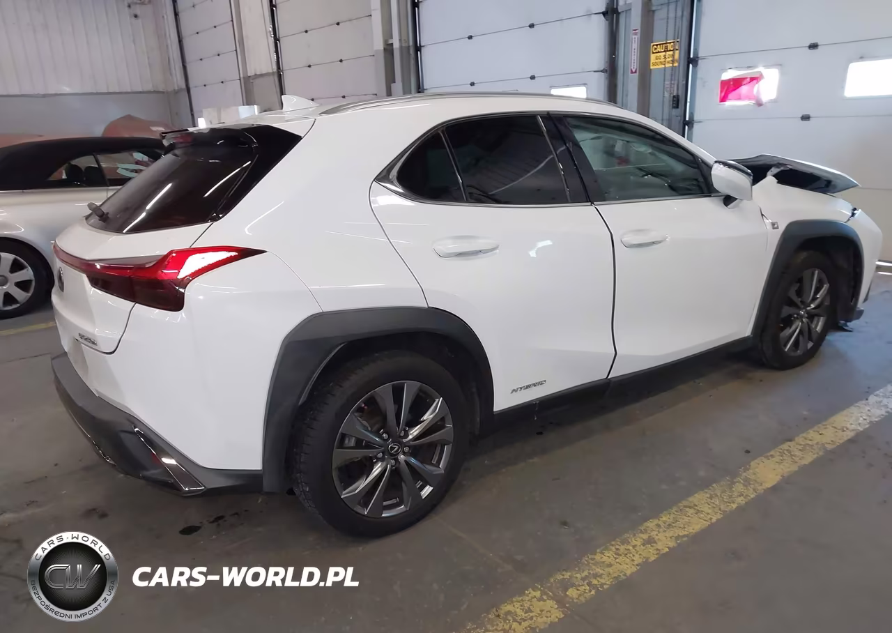 2019 Lexus Ux 250H F Sport VIN:JTHU9JBH9K2009706 - 4