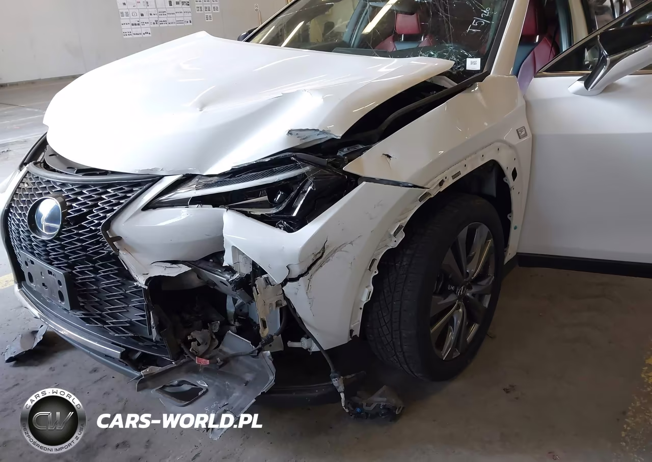 2019 Lexus Ux 250H F Sport VIN:JTHU9JBH9K2009706 - 6