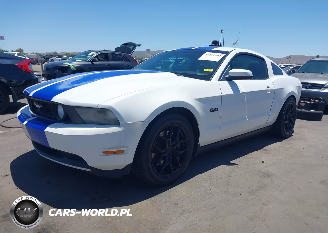 2011 Ford Mustang Gt VIN:1ZVBP8CF6B5138129 - 2