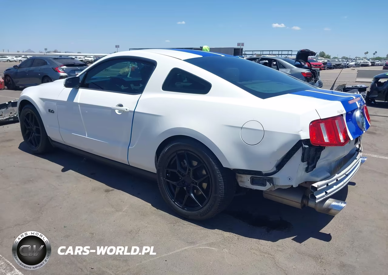2011 Ford Mustang Gt VIN:1ZVBP8CF6B5138129 - 3