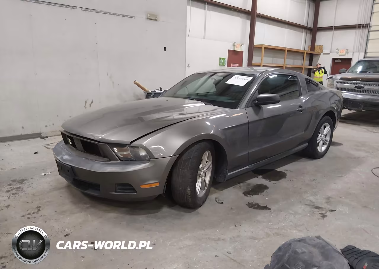 2011 Ford Mustang V6 VIN:1ZVBP8AM5B5165565 - 2