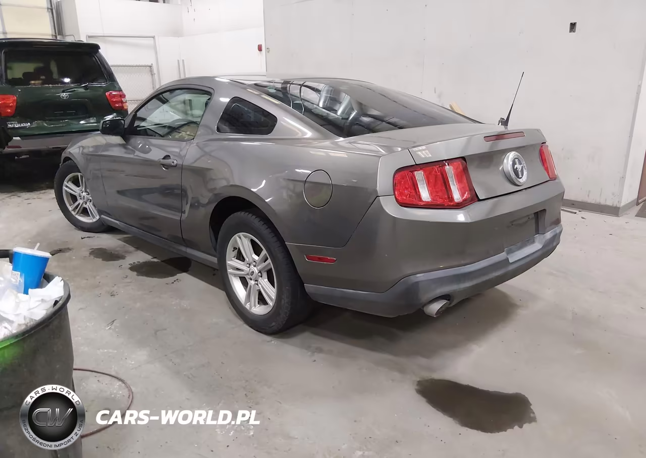 2011 Ford Mustang V6 VIN:1ZVBP8AM5B5165565 - 3